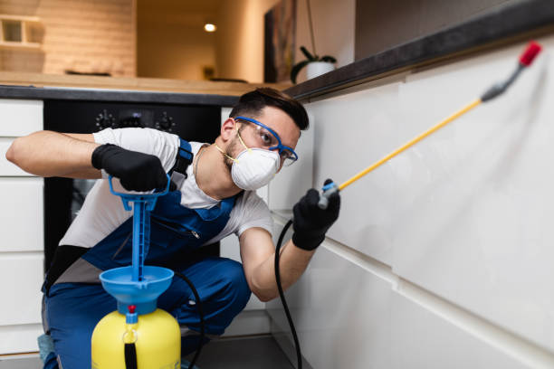 Best Pest Removal Services  in Battle Creek, NE