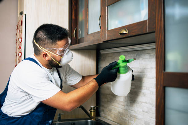 Trusted Battle Creek, NE Pest Control Experts