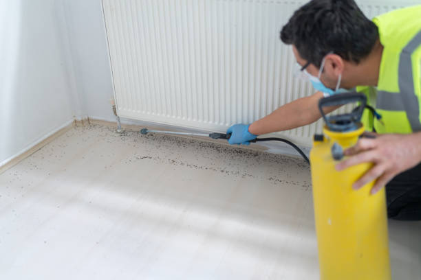 Best Exterminator Services  in Battle Creek, NE
